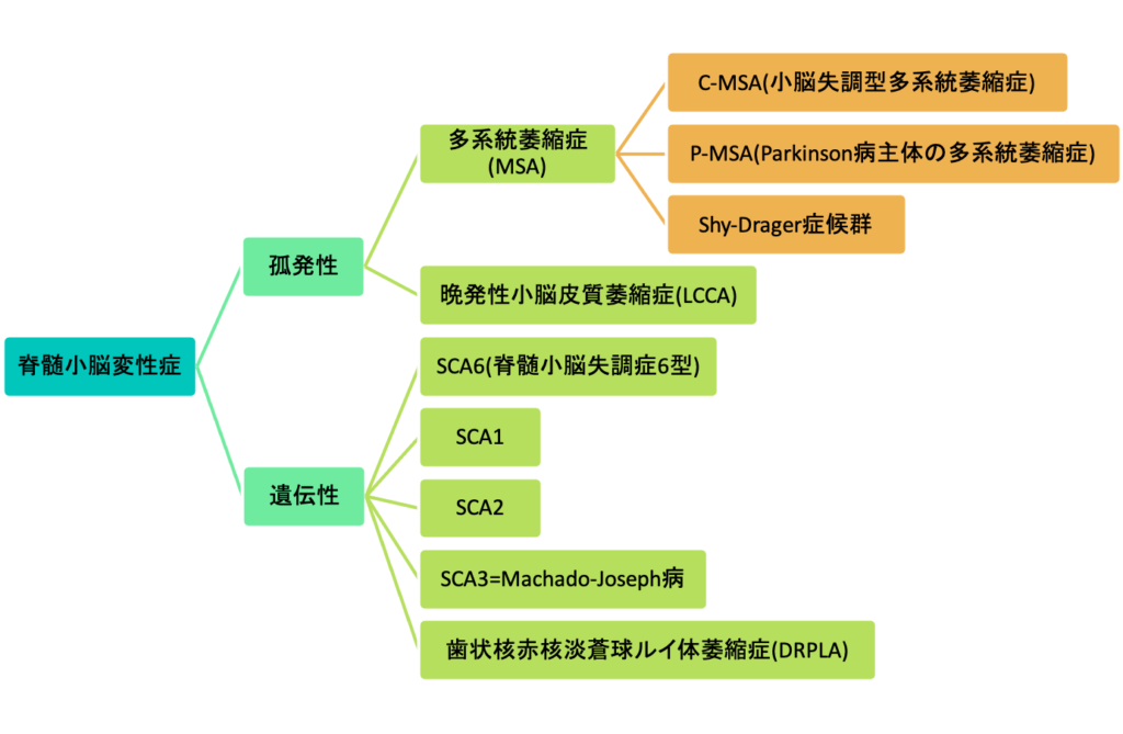 頭頂部(HEENT)の機能障害におけるオステオパシー的考察 | nate 